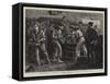 Celebrating the Jubilee on Board a Man of War, Extra Rations of Grog-Frederic Villiers-Framed Stretched Canvas