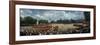 Celebrating the Queen's Official Birthday, on the Horse Guards Parade Ground Near Whitehall-Eliot Elisofon-Framed Photographic Print