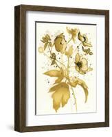 Celebration d Or II-Shirley Novak-Framed Art Print