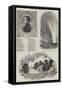Celebration of Prince Albert's Birthday-null-Framed Stretched Canvas