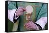 Celebration of the Eucharist, Catholic Mass, Villemomble, Seine-Saint-Denis, France, Europe-Godong-Framed Stretched Canvas