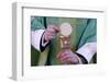 Celebration of the Eucharist, Catholic Mass, Villemomble, Seine-Saint-Denis, France, Europe-Godong-Framed Photographic Print