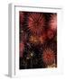 Celebratory Fireworks-Yulia_Malinovskaya-Framed Photographic Print