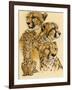 Celerity-Barbara Keith-Framed Giclee Print