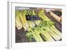 Celery, 1999-Peter Breeden-Framed Giclee Print