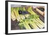 Celery, 1999-Peter Breeden-Framed Giclee Print