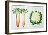 Celery and Broccoli, Illustration from 'Harrisons' Seed Catalogue', C.1900-null-Framed Giclee Print