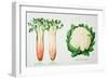 Celery and Broccoli, Illustration from 'Harrisons' Seed Catalogue', C.1900-null-Framed Giclee Print