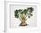 Celery (Apium Graveolens), Apiaceae-null-Framed Giclee Print