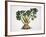 Celery (Apium Graveolens), Apiaceae-null-Framed Giclee Print