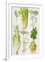 Celery, Fennel, Dill and Celeriac-Elizabeth Rice-Framed Giclee Print