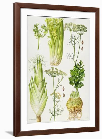 Celery, Fennel, Dill and Celeriac-Elizabeth Rice-Framed Giclee Print