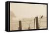 Celery Fields, Sarasota, Florida-Maresa Pryor-Framed Stretched Canvas