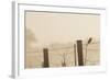 Celery Fields, Sarasota, Florida-Maresa Pryor-Framed Photographic Print