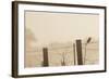 Celery Fields, Sarasota, Florida-Maresa Pryor-Framed Photographic Print