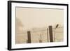 Celery Fields, Sarasota, Florida-Maresa Pryor-Framed Photographic Print