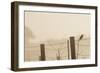 Celery Fields, Sarasota, Florida-Maresa Pryor-Framed Photographic Print