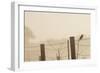 Celery Fields, Sarasota, Florida-Maresa Pryor-Framed Photographic Print