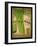 Celery Pack-Tim Nyberg-Framed Giclee Print