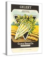 Celery Seed Packet-null-Stretched Canvas