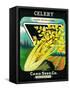 Celery Seed Packet-Lantern Press-Framed Stretched Canvas