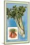 Celery-null-Mounted Art Print