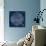 Celestial Blueprint-Sue Schlabach-Art Print displayed on a wall