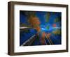 Celestial call-Marco Carmassi-Framed Photographic Print