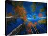 Celestial call-Marco Carmassi-Stretched Canvas