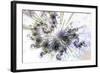 Celestial  copy-Fractalicious-Framed Giclee Print