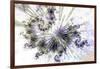 Celestial  copy-Fractalicious-Framed Giclee Print