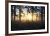 Celestial Dawn-Andreas Stridsberg-Framed Giclee Print
