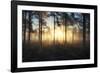 Celestial Dawn-Andreas Stridsberg-Framed Giclee Print