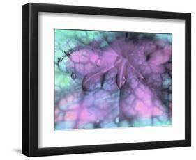Celestial Dew Drops II-Eva Bane-Framed Photographic Print