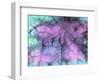 Celestial Dew Drops II-Eva Bane-Framed Photographic Print