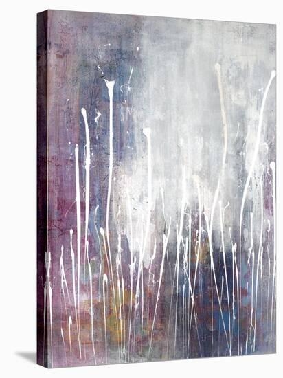 Celestial Gardens-Joshua Schicker-Stretched Canvas