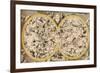 Celestial Globe-Science Source-Framed Giclee Print