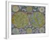 Celestial Map of the Planets-Georg Christoph Eimmart II-Framed Giclee Print