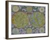 Celestial Map of the Planets-Georg Christoph Eimmart II-Framed Giclee Print