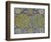 Celestial Map of the Planets-Georg Christoph Eimmart II-Framed Giclee Print