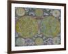 Celestial Map of the Planets-Georg Christoph Eimmart II-Framed Giclee Print