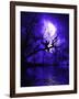 Celestial Night-Julie Fain-Framed Art Print