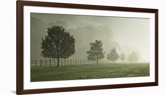 Celestial Pathway-Assaf Frank-Framed Giclee Print