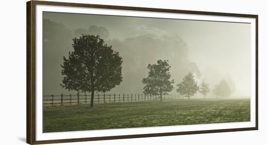 Celestial Pathway-Assaf Frank-Framed Giclee Print