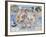 Celestial Planisphere-Carel Allard-Framed Giclee Print