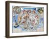 Celestial Planisphere-Carel Allard-Framed Giclee Print