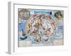 Celestial Planisphere-Carel Allard-Framed Giclee Print