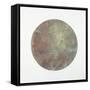 Celestial Sphere Rebirth-Tyson Estes-Framed Stretched Canvas