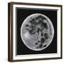 Celestial Spheres I-Michael Willett-Framed Art Print