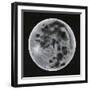 Celestial Spheres I-Michael Willett-Framed Art Print